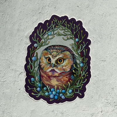 Northern Saw-Whet Owl and Western Juniper Sticker
