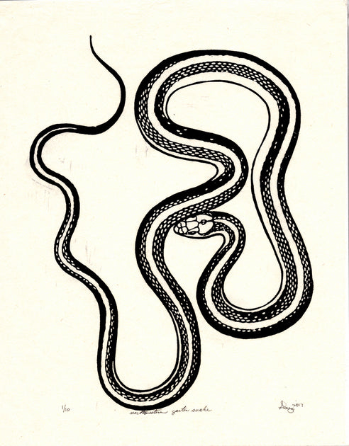 Abney Wallace Woodblock Snake & Reptile Prints – The