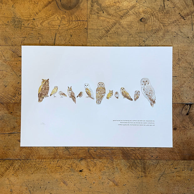A Few Owls Letterpress Print