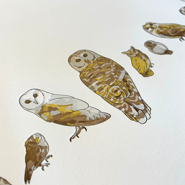 A Few Owls Letterpress Print