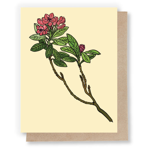 General Greeting Cards by Sweet Pea Cole