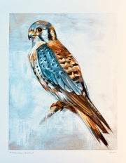 Bird Art Prints - 8.5x11