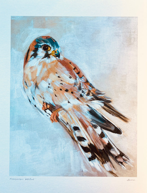 Bird Art Prints - 8.5x11