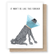 Sympathy Cards by Sweet Pea Cole
