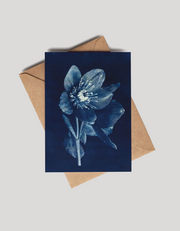 Blue In Bloom - Card