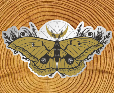 Silk Moth Matte Mirror Sticker