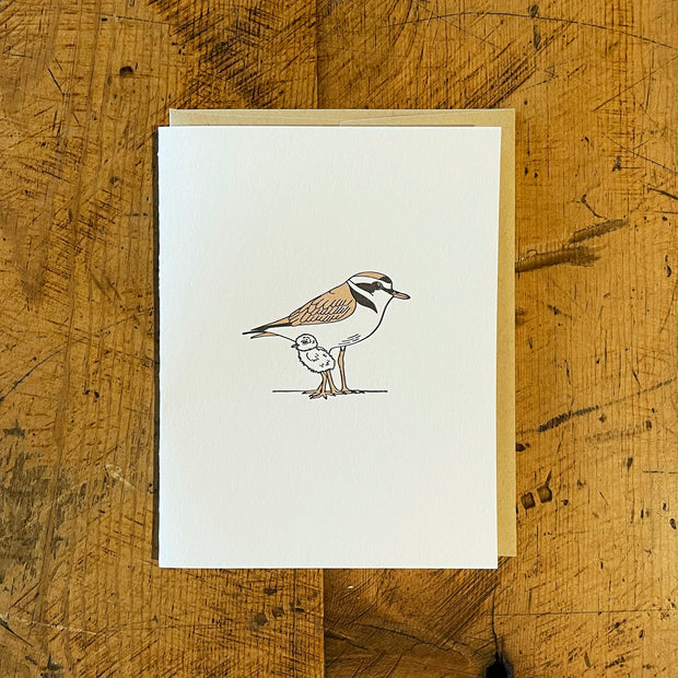 Birds Letterpress Cards