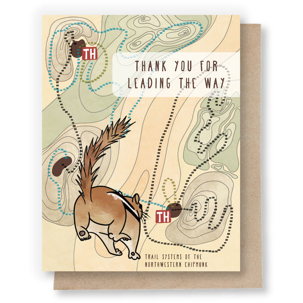 Thank You Cards by Sweet Pea Cole