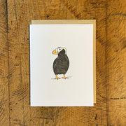 Birds Letterpress Cards