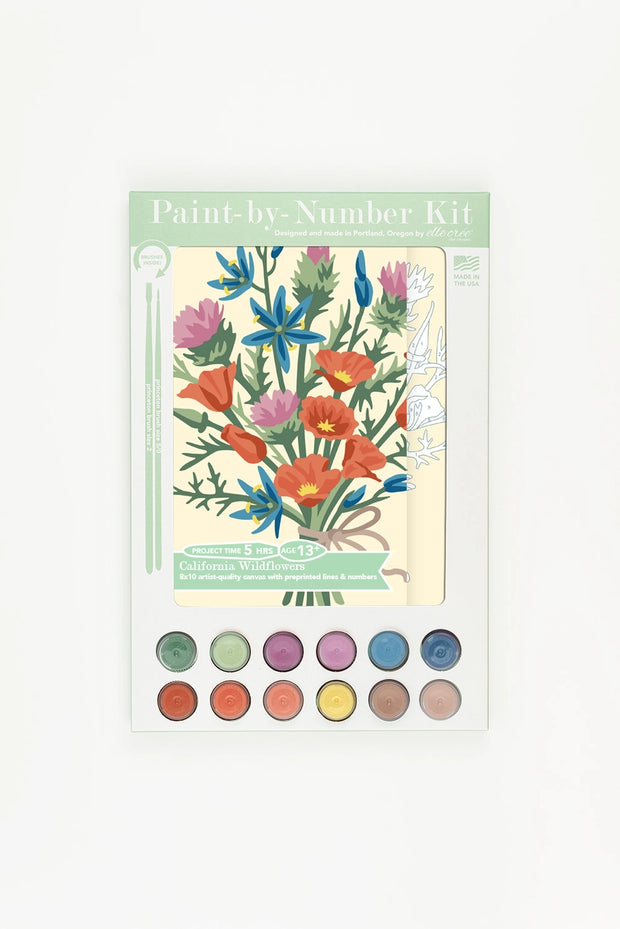 California Wildflower Bouquet Paint-by-Number Kit