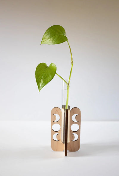 Moon Phase Tabletop Propagation Station