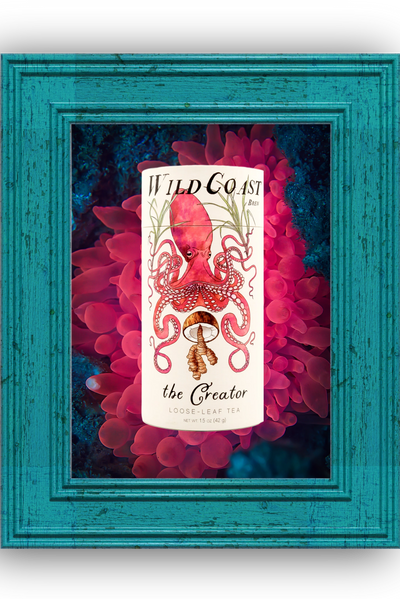 Creator Tea - 1.5 oz Canister