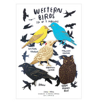 Western Birds Magnets - Set of 5