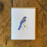 Birds Letterpress Cards