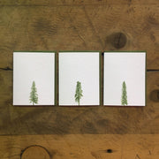 Conifer Tree Letterpress Holiday Cards