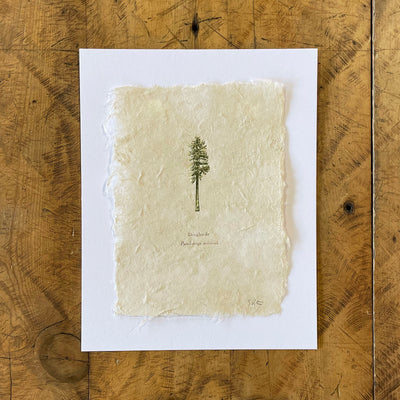 Letterpress Prints on Handmade Paper