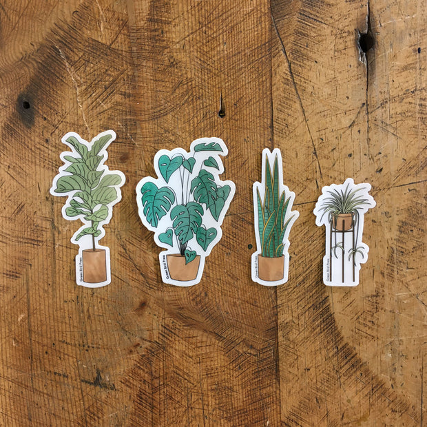 Houseplant Clear Stickers