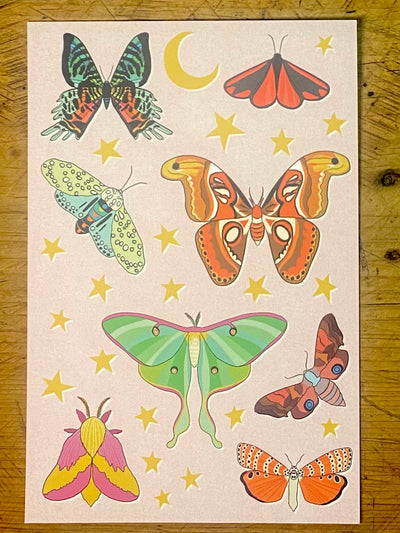 Moths Postcard