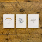 Mushroom Letterpress Cards