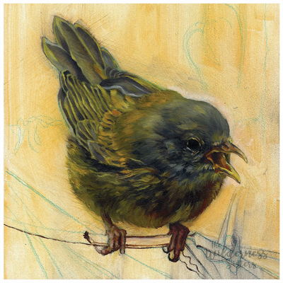 Yellow Warbler Print - 8x8