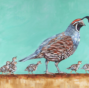 Bird Art Prints - 13x17