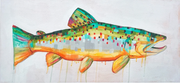Fish Art Prints - 8.5x11