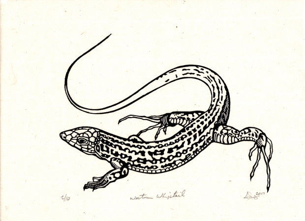 Abney Wallace Woodblock Snake & Reptile Prints