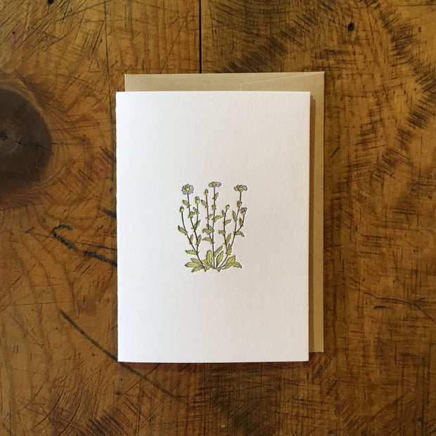 Wildflower Letterpress Cards