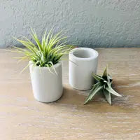 air plant holder ceramic Mini Ceramic Air Plant Holder – The Workhouse Bend