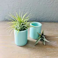 air plant holder ceramic Mini Ceramic Air Plant Holder