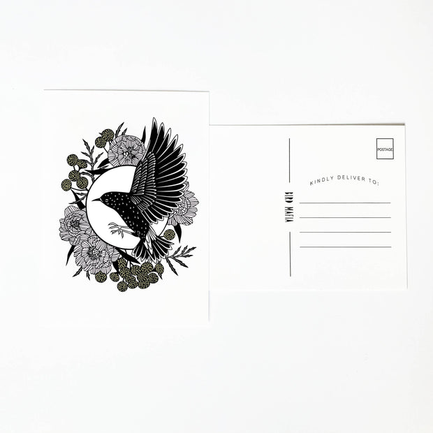 Postcard - Starling