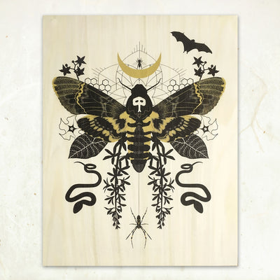 Hawk Moth Wooden Art Print