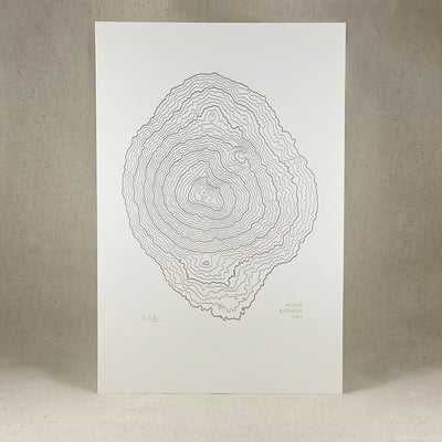 Mt Bachelor Topographic Map by Green Bird Press