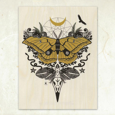 Silk Moth Wooden Art Print